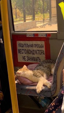 РСФСР