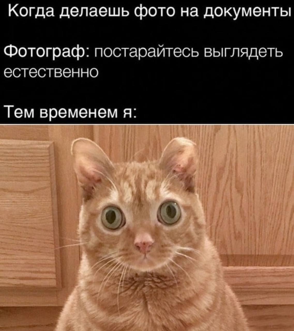 Когда делаешь фото на документы Фотограф: постарайтесь выглядеть естественно Тем временем я: