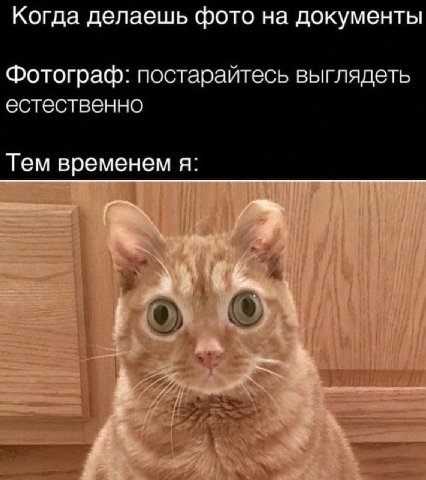 Когда делаешь фото на документы Фотограф: постарайтесь выглядеть естественно Тем временем я: