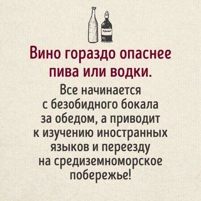 Вино гораздо опаснее пива или водки. Все начинается с безобидного бокала за обедом, а приводит к изучению иностранных языков и переезду на средиземноморское побережье!