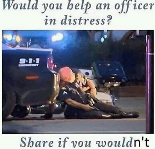Wou you an in distress? Shure if vou wouldn't
