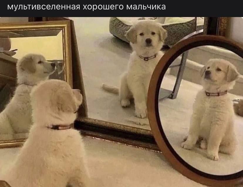 мультивселенная хорошего мальчика