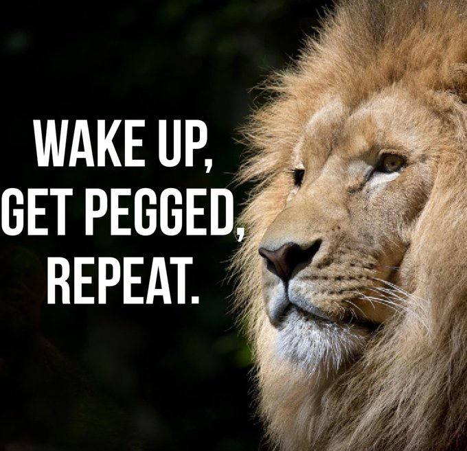 WAKE UP, GET PEGGED REPEAT.