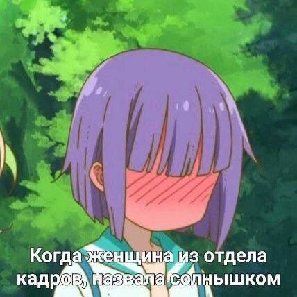 Когда Женщина из отдела назвала солнышком