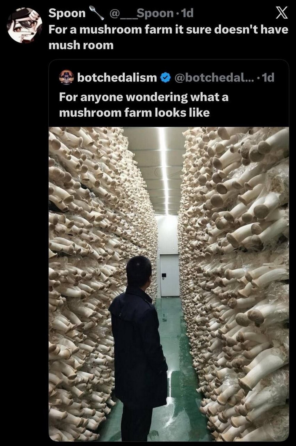 Spoon Рог а mushroom farm it sure doesn't have mush room botchedalism For anyone wondering mushroom farm looks like [5% и