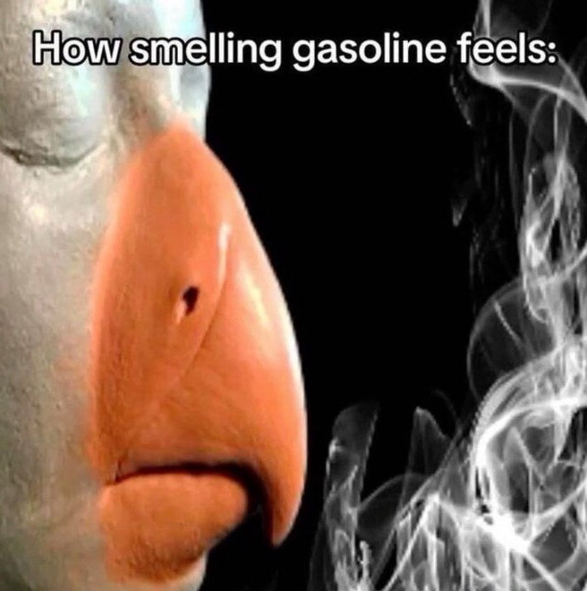 gasoline feels: