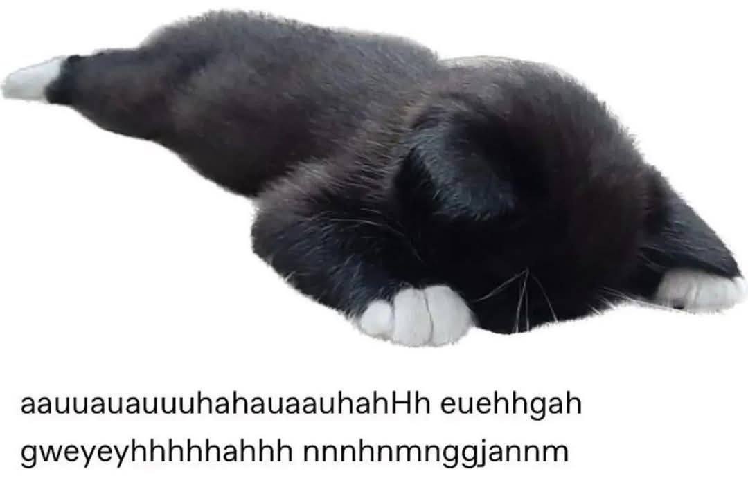 aauuauauuuhahauaauhahHh euehhgah gweyeyhhhhhahhh nnnhnmnggjannm