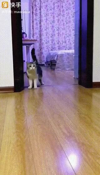 Невидимое препятствие