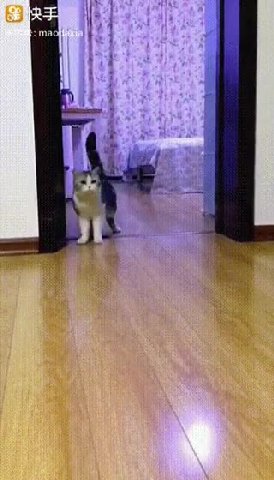 Невидимое препятствие