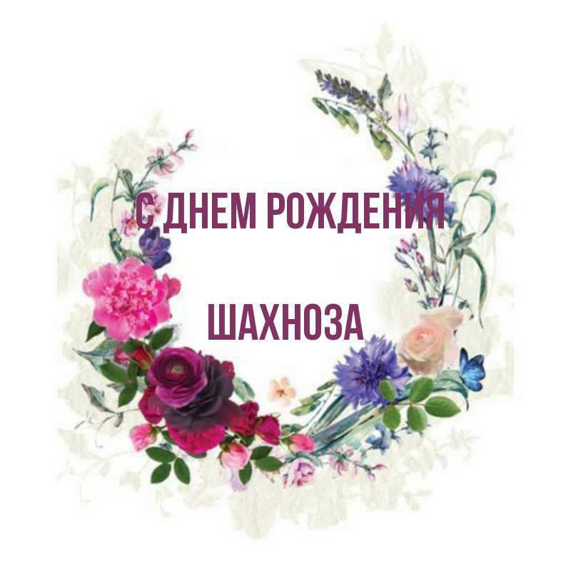 с днем рождения шахноза
