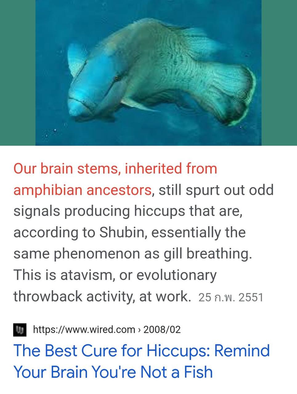 Our brain stems, inherited from amphibian ancestors, still spurt out odd signals producing hiccups that are, according to Shubin, essentially the same phenomenon as gill breathing. This is atavism, or