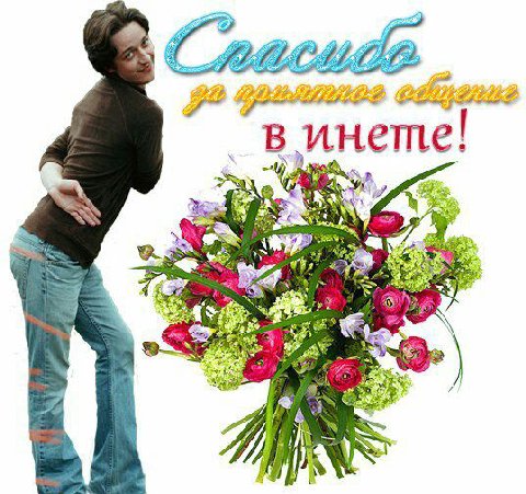 CLY в ЗА We 9. и 2 4