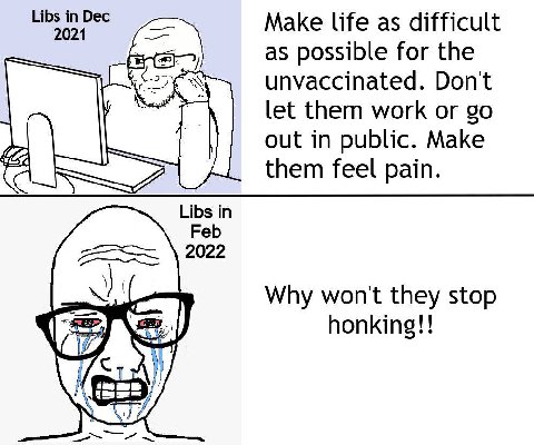 Бес 1 Make life as difficult as possible for the unvaccinated. Don't let them work or out in public. Make them feel pain. Libs in 2022 Why won't they stop honking!!