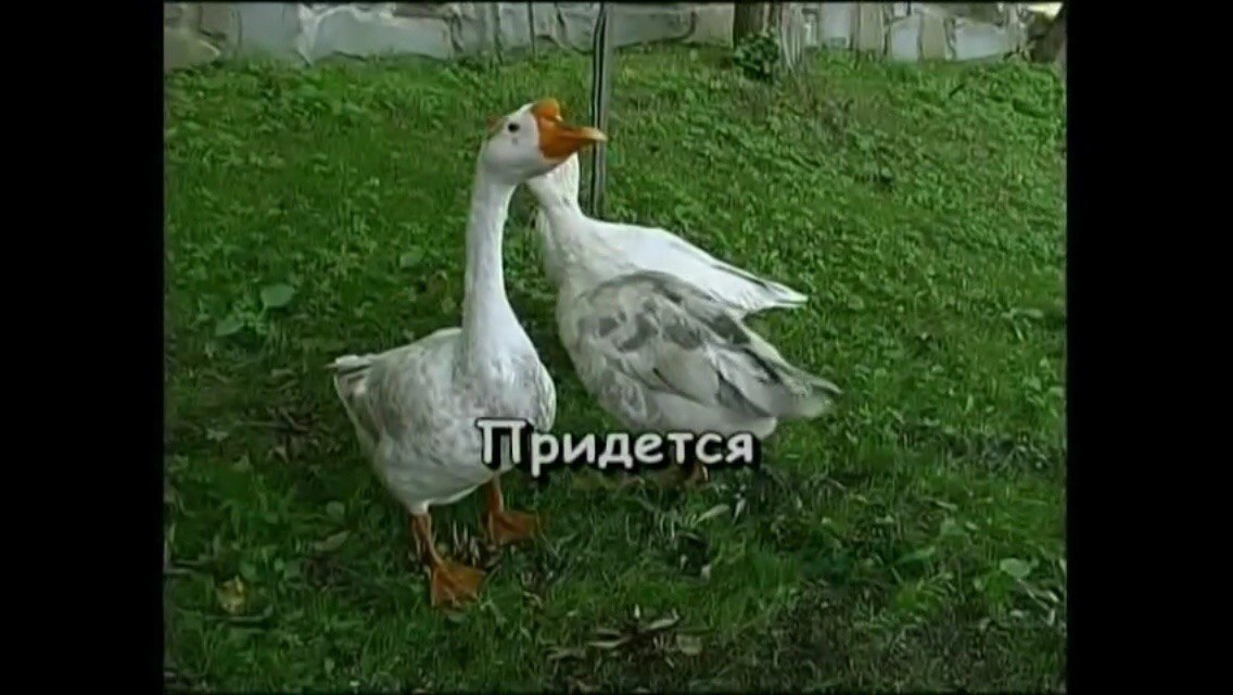 a) 1 A 1% 4 у у A 1 i идет 4 К 4 у 4 у 19 bel (hel we