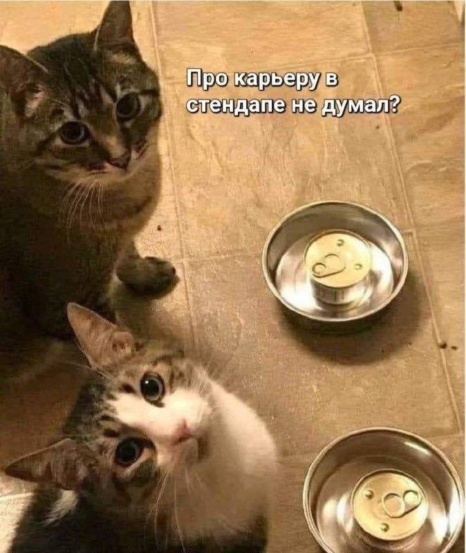 у тендапе не думал?