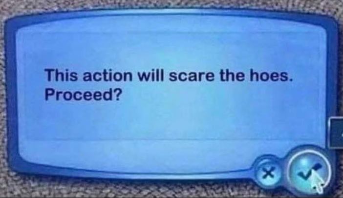 This action will scare the hoes Proceed?