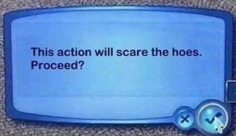 This action will scare the hoes Proceed?