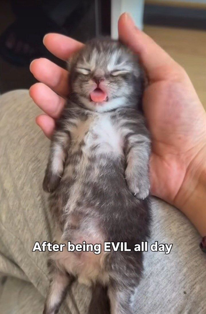 After being EVIL all day