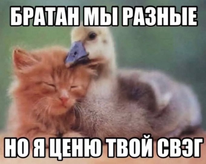 БРАТАН МЫ РАЗНЫЕ НОЯ ЦЕНЮ ТВОЙ СВЭГ