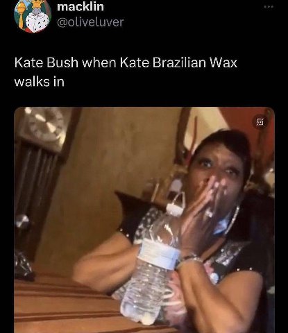 macklin Kate Bush when Kate Brazilian Wax walks in 4