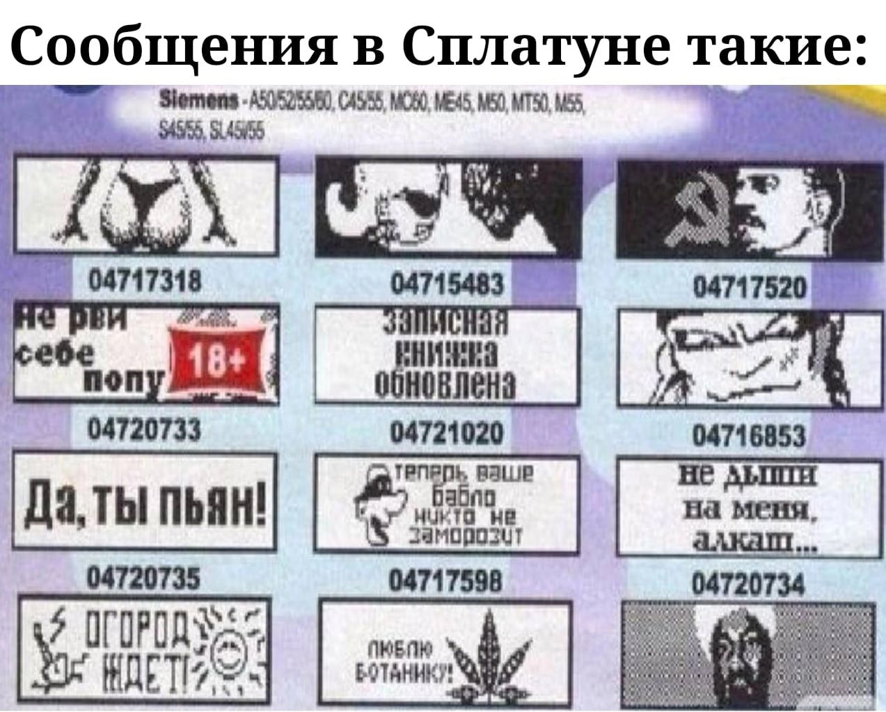 Сообщения в Сплатуне такие: МТБО, 04717318 5483 04717520 non 04720733 04721020 04716853 вашр HUKTO не 04720735 04717598 04720 ГОРОДУ $4 BOTAHHKY!