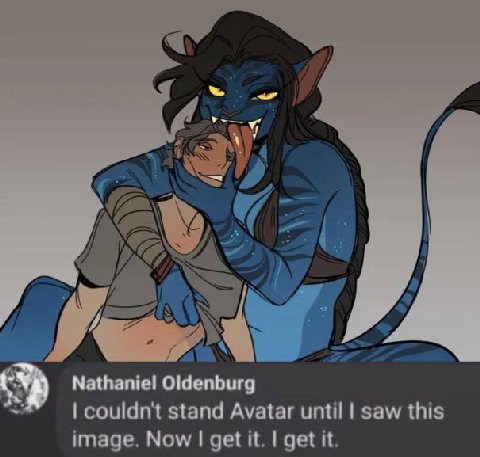 Nathaniel Oldenburg couldn't stand Avatar until saw this image. Now get it. get it.