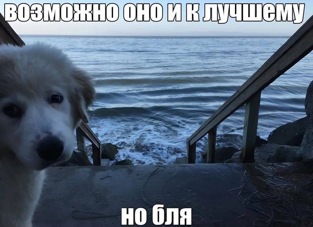 В OSMO 3 mHO шем бля