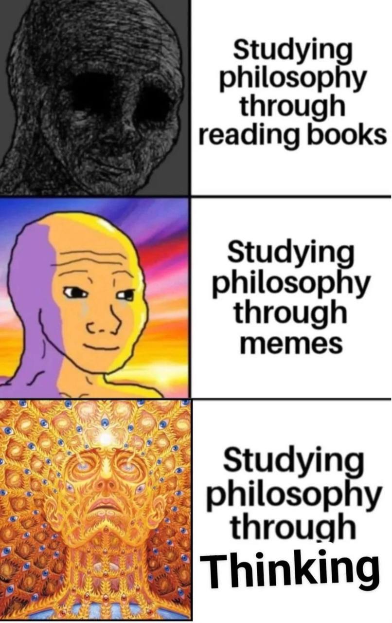 Studying philosophy through reading books philosophy through memes Studying philosophy through