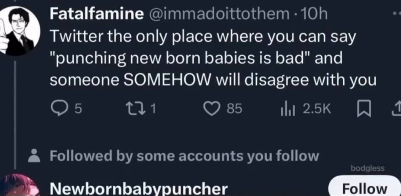 Fatalfamine @immadoittothem Twitter the only place where you can say “punching new born babies is bad" and someone SOMEHOW will disagree with you 05 1 285 Followed some accounts you follow Newbornbabv