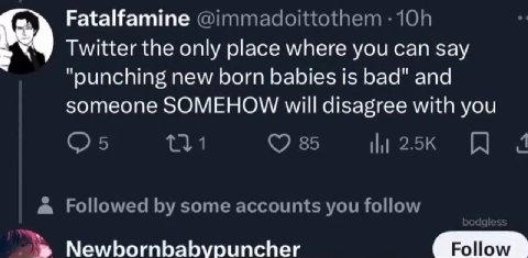 Fatalfamine @immadoittothem Twitter the only place where you can say “punching new born babies is bad" and someone SOMEHOW will disagree with you 05 1 285 Followed some accounts you follow Newbornbabv