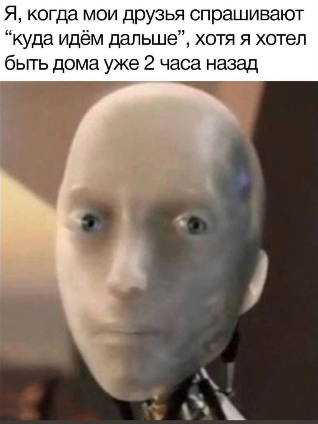 Я, когда мои друзья спрашивают “куда идём дальше”, хотя я хотел быть дома уже 2 часа назад