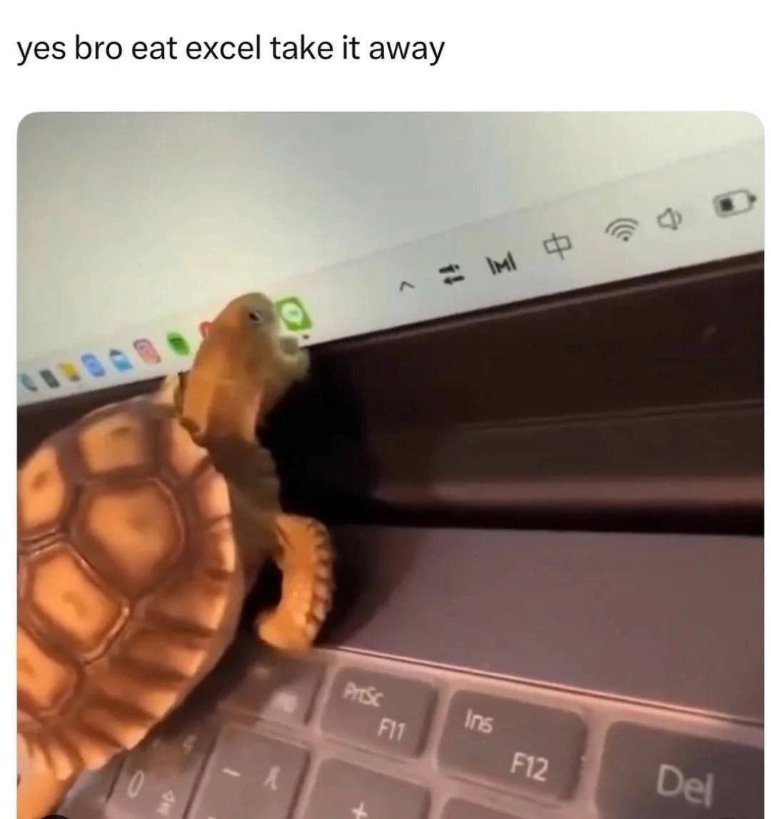 yes bro eat excel take it away
