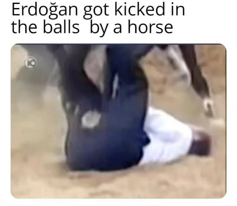 Erdogan got kicked in the balls a