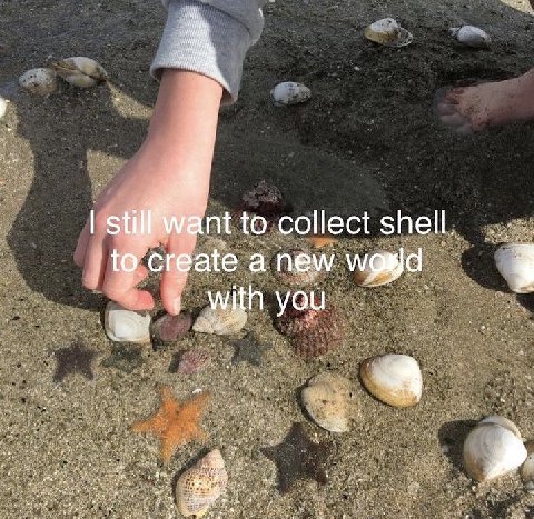 Is to collect shell. at ate a new you