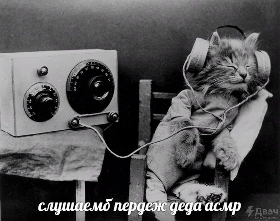 слушаемд пердеж деда асмр