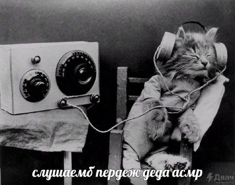 слушаемд пердеж деда асмр