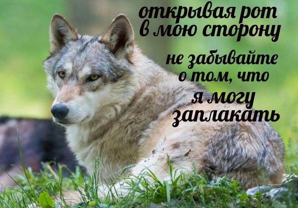 0 рот что И 22 We 4\
