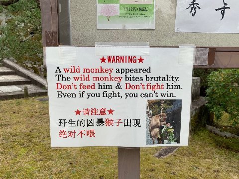 вЫ А wild monkey appeared wild monkey bites brutality. Don’t feed him Don’t fight him. if you fight, you can’t win. a