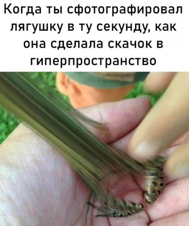 Когда ты сфотографировал лягушку в секунду, как она сделала скачок в гиперпространство