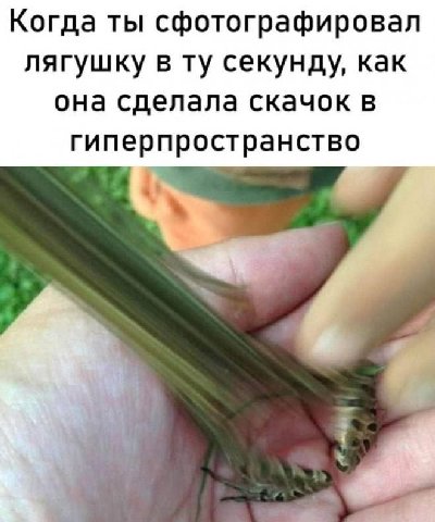 Когда ты сфотографировал лягушку в секунду, как она сделала скачок в гиперпространство