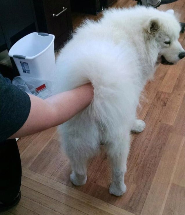 напоминаю
