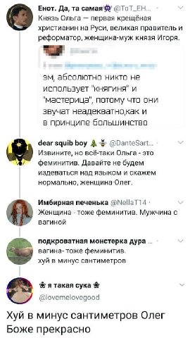 Енот. Да, самая @TOT_EH... Князь Ольга первая крещёная христианин на Руси, великая правитель и реформатор, женщина-муж князя Игоря. абсолютно никто не использует "княгиня" и "мастерица", потому что он