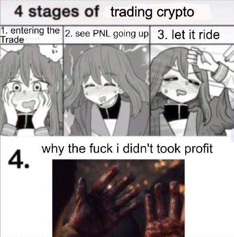 4 stages of trading crypto the 3. let it ride A. why the fuck i didn't took profit