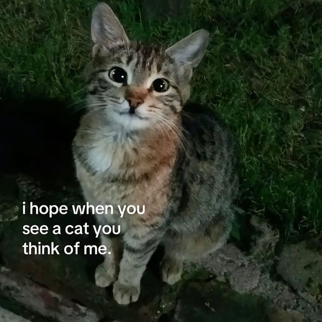 when you see you think of me.