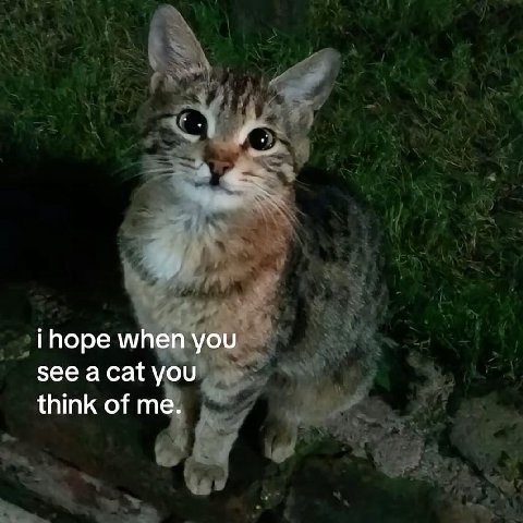 when you see you think of me.