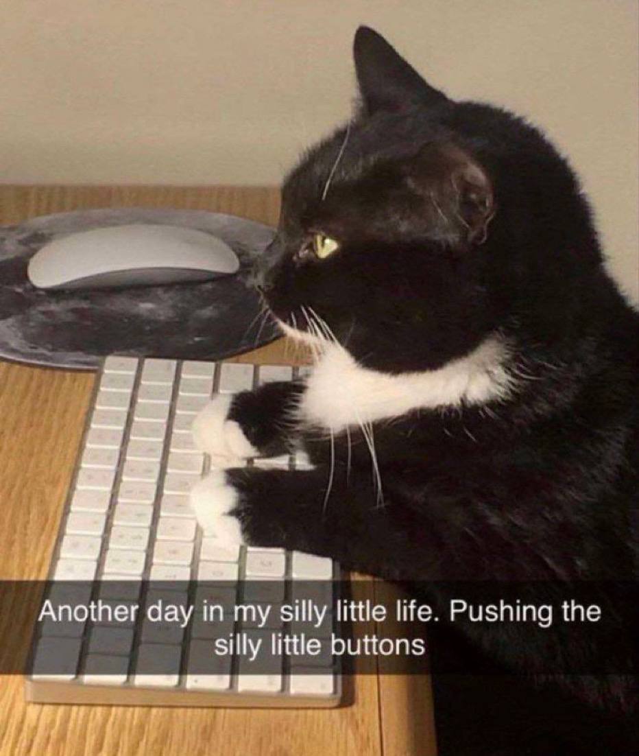 Another day in my silly little life. Pushing the silly little buttons