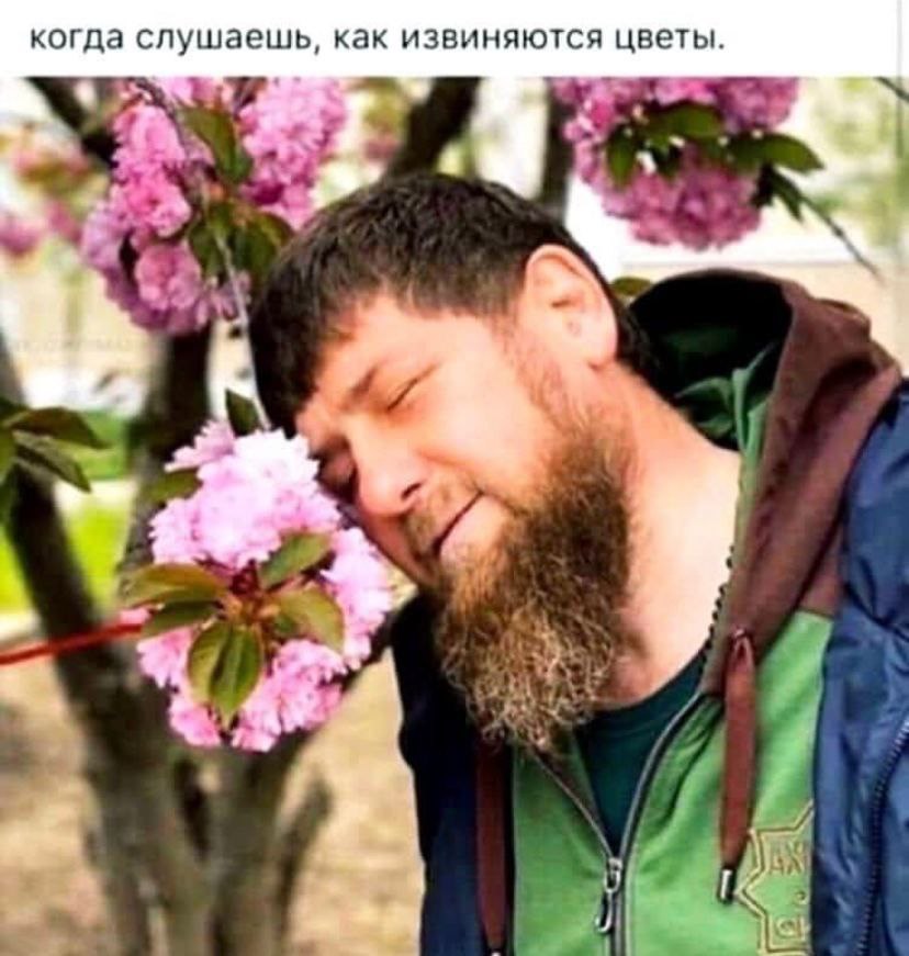 когда слушаешь, как извиняются цветы
