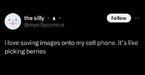 the silly Follow i love saving images onto my cell phone. it’s like picking berries