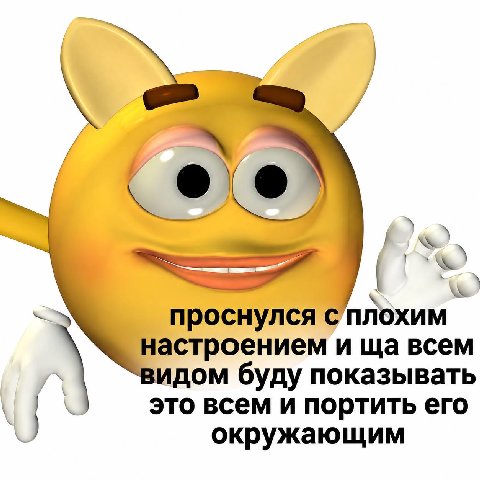 проснулся с плохим настроением и всем идом буду показывать это всем и портить его окружающим