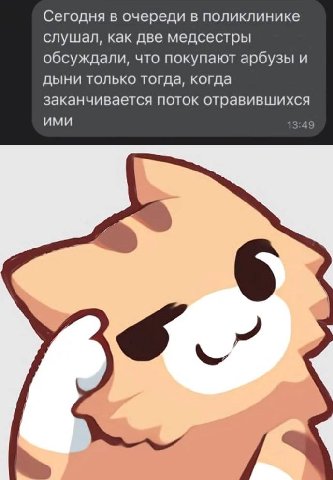 Сегодня в очереди в поликлинике слушал, как две медсестры обсуждали, что покупают арбузы и дыни только тогда, когда заканчивается поток отравившихся ИМИ 13:49